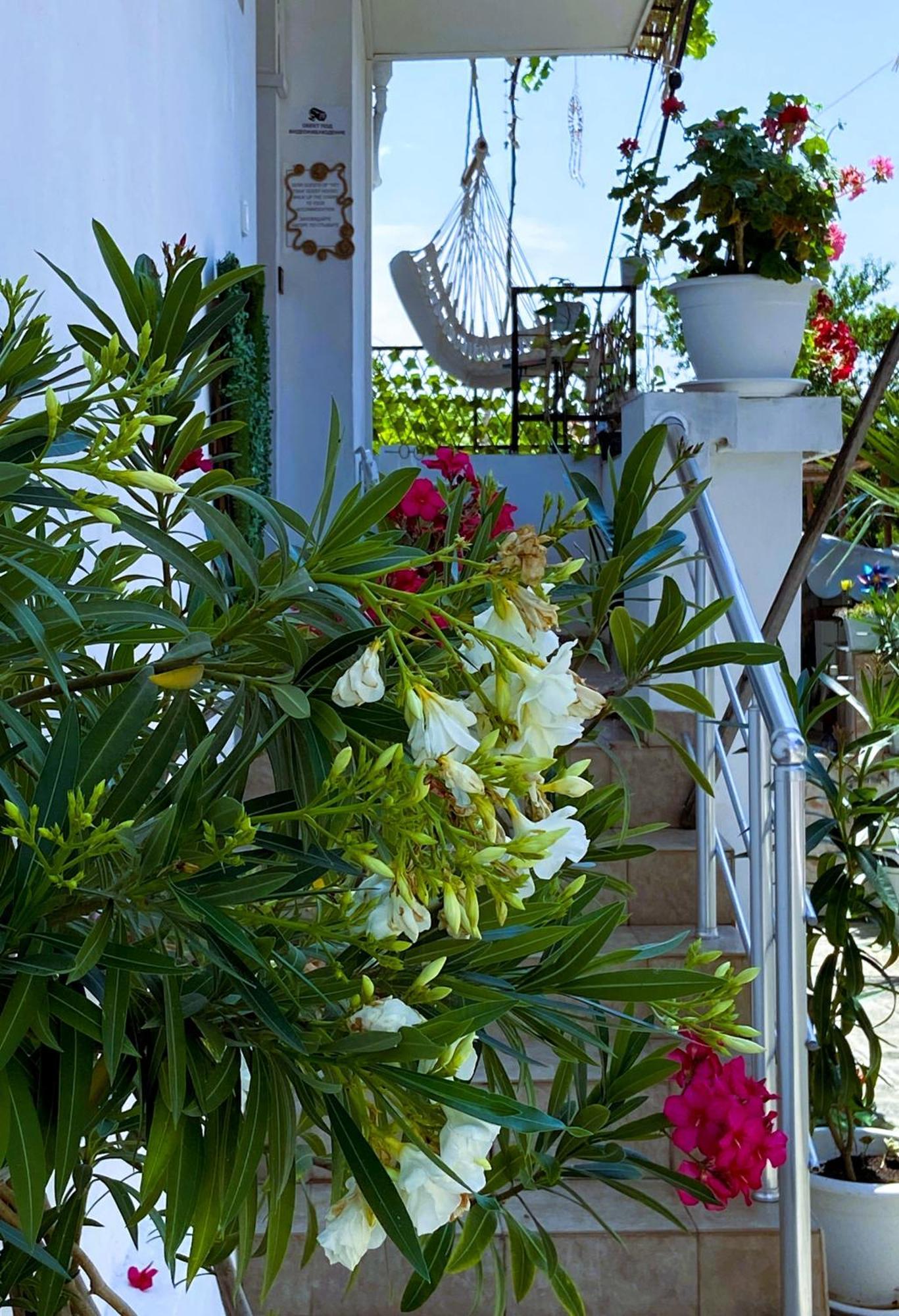 Guest House Hei Taka Созополь Екстер'єр фото